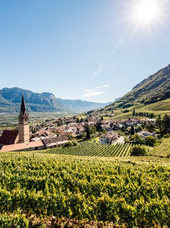 Termeno roner_tramin.jpg